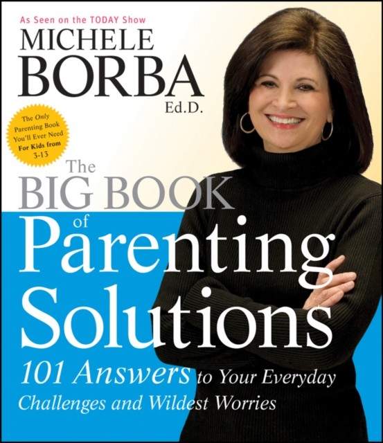 The Big Book of Parenting Solutions by M Borba PAPERBACK 9780787988319