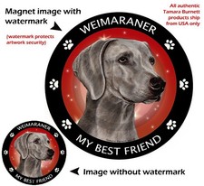 Weimaraner My Best Friend Dog Car Magnet
