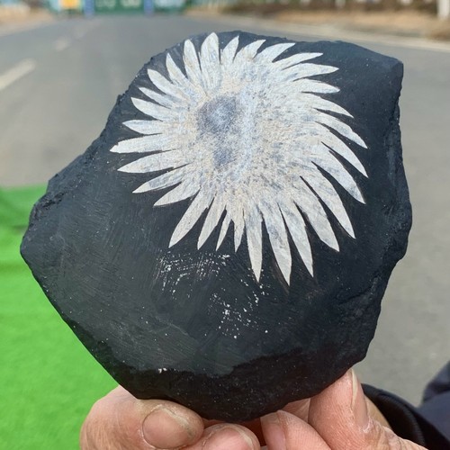 342G Natural Chrysanthemum Stone Quartz Carving Halo Treatment Gift - 第 2/23 張圖片