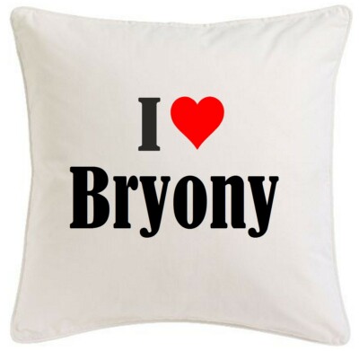 KISSENBEZUG I LOVE BRYONY 40CMX40CM AUS MIKROFASER