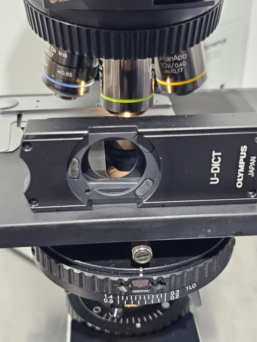 Olympus BX60 BX60F5 Fluorescence DIC Microscope | eBay Olympus BX60 BX60F5 Fluorescence DIC Microscope | eBay