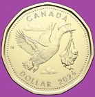 2026 Canada New  Born Baby One Dollar Loonie Coin. Mint UNC. King Charles
