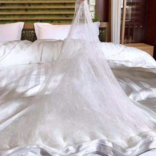 Edredón 100 % seda morera edredones hechos a mano edredón relleno de seda edredón Queen King Foto 3 de 4