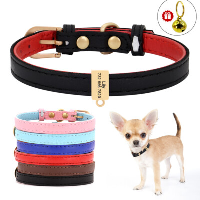 xsmall dog collar
