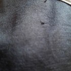 Bild 5 von 6