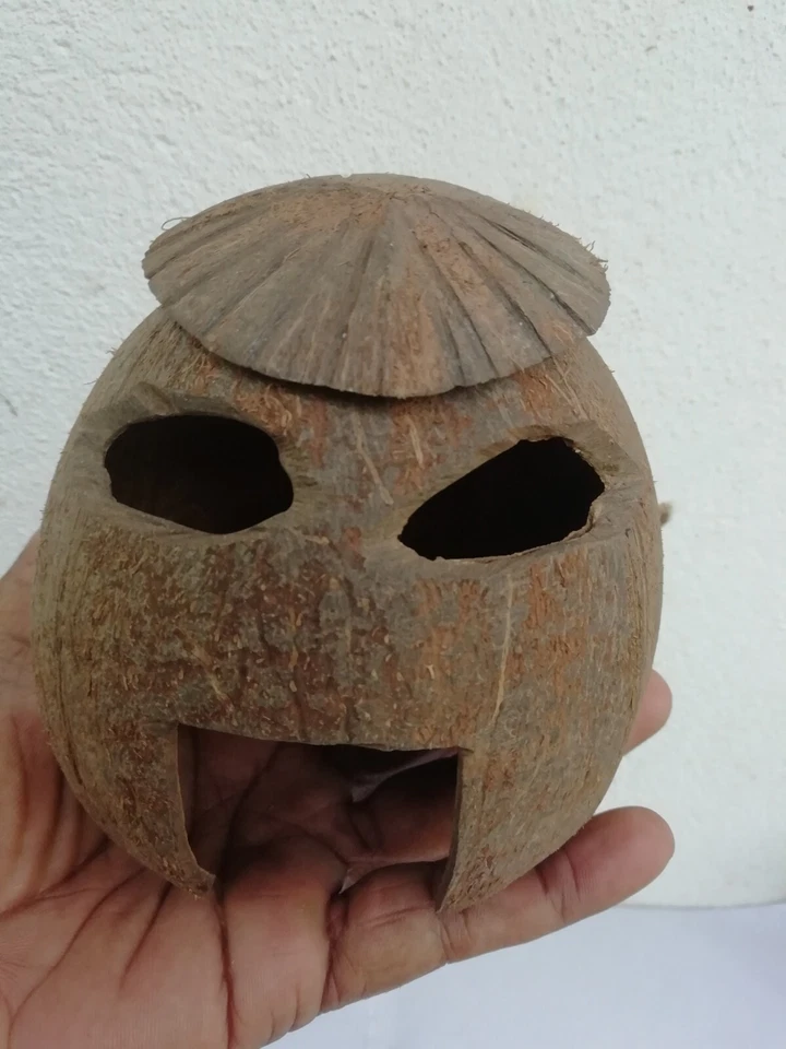 adornos para pecera cáscara de coco cría de peces escondite cueva de peces Foto 2 de 4