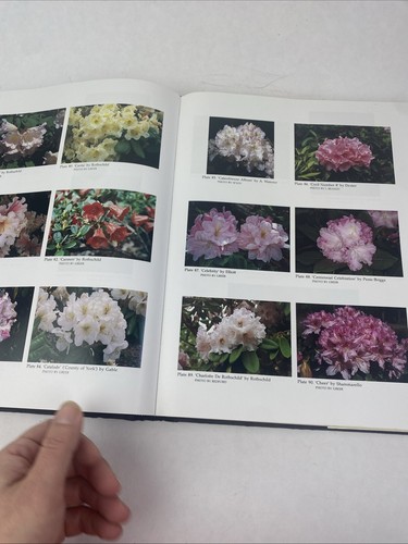 Rhododendron Hybrids Hardcover Homer E., Greer, Harold E. Salley 2ND ED 1992 - Picture 16 of 22