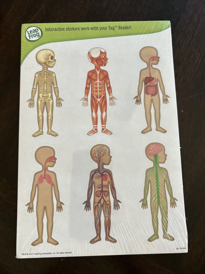LeapFrog LeapStart Tag Activity Board Only The Human Body New Sealed - Image 2 of 3