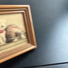 Picture 5 of 8
