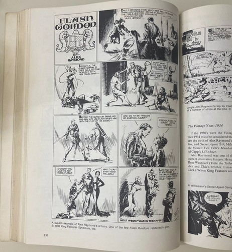 The Comics – Illustrated History of Comic Strip Art (1974) Jerry Robinson VG - Picture 18 of 24