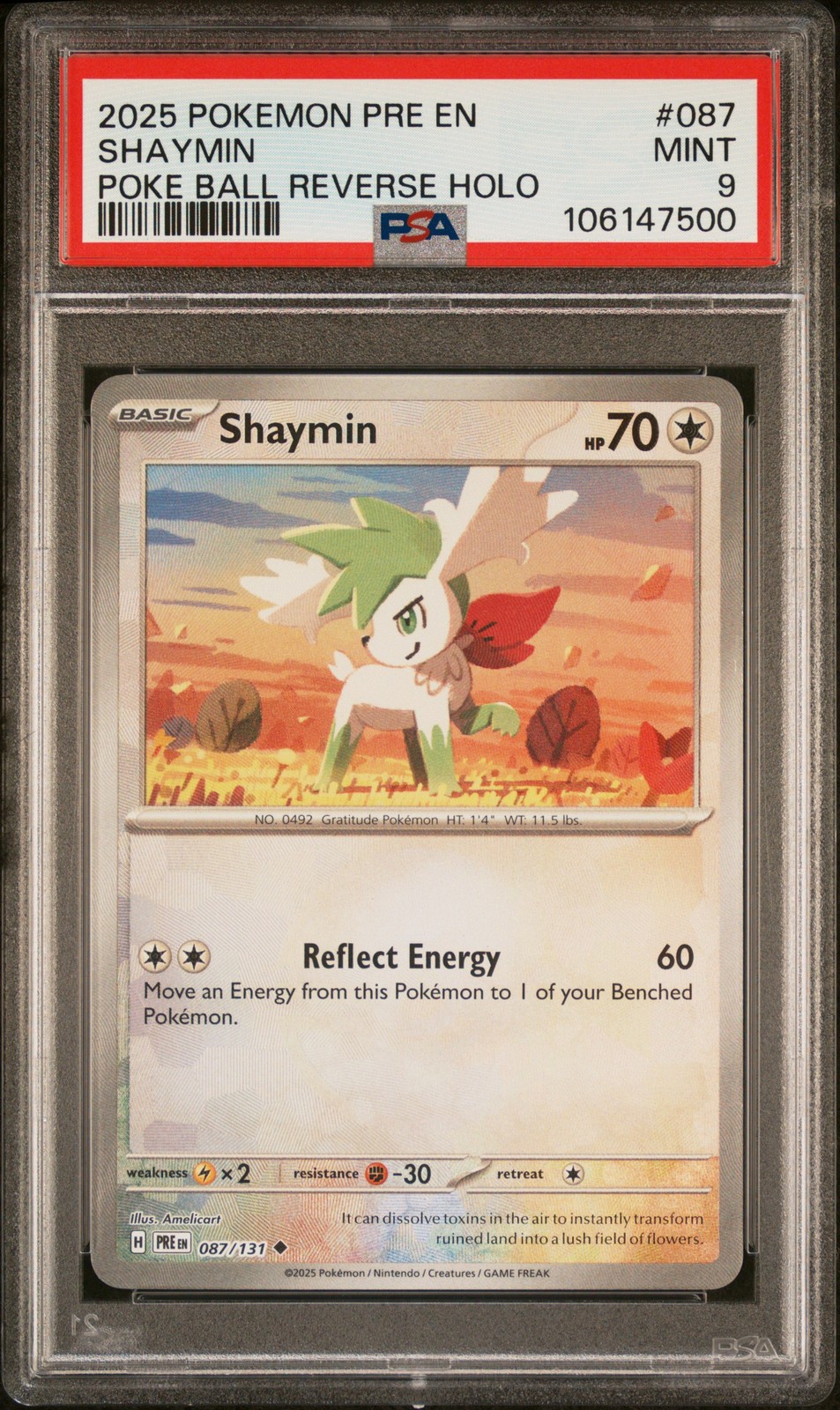 2025 POKEMON PRE EN-PRISMATIC EVOLUTIONS POKE BALL REVERSE HOLO SHAYMIN PSA 9