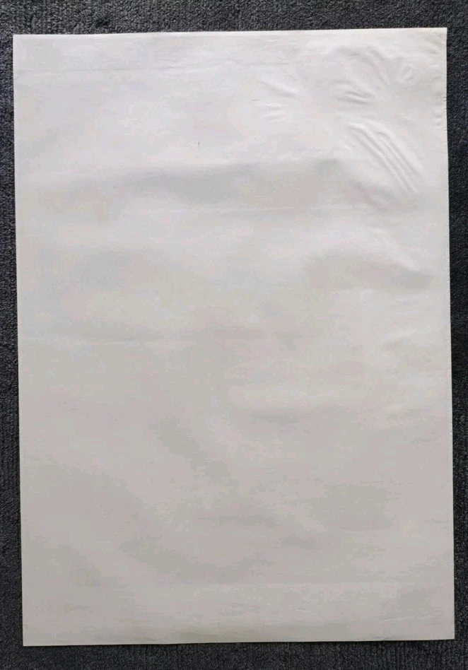 David Hasselhoff Konzertplakat DIN A1 mit Original Autogramm Dortmund 1990 - Bild 3 von 4