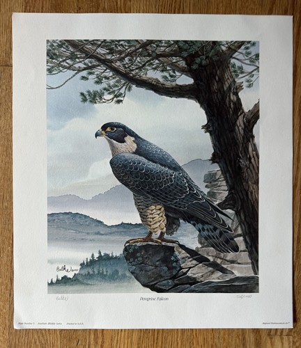 Don Balke Peregrine Falcon 16"" X 18"" Stampa Limitata Ed. #528/1200 FIRMATO + Bonus - Foto 2 di 6