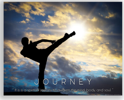 Karate JiuJitsu Brazilian Motivational Quotes Poster Dojo 11x14 Inches Unframed