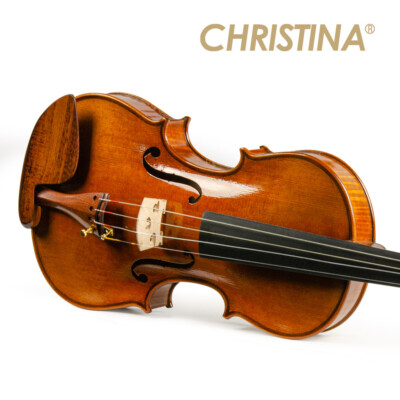 Handmade Full Size Violin Set Handmade One-piece Back Snake Wood Accessories