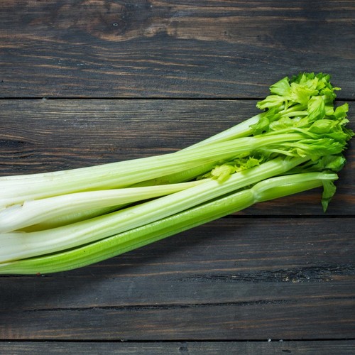 Celery Seeds - Organic - Non Gmo - Heirloom Seeds – Vegetable Seeds