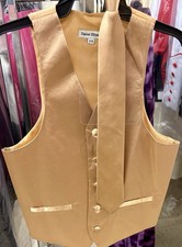 Boys Satin Vest With Tie
