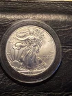 1 ounce 2014 American Silver Eagle in capsule