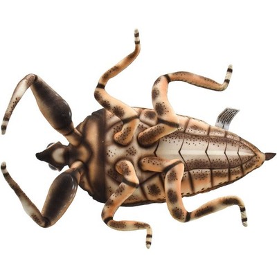 ハンサBH8523 HANSA タガメ 42 HANSA Giant Water Bug Plush Toy BH8523 16in Aquatic Insect Stuffed