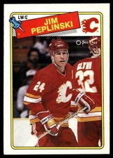 1988-89 O-Pee-Chee Jim Peplinski #243 VIEW SCAN