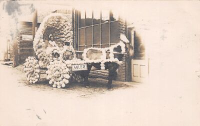 J29/ Delphos Ohio RPPC Postcard c1910 Agler Flower Parade Float Wagon 366