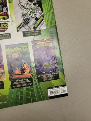 Teenage Mutant Ninja Turtles #1 1:100 variante Momoko Jason Aaron 2024 IDW TMNT - Imagen 8 de 9