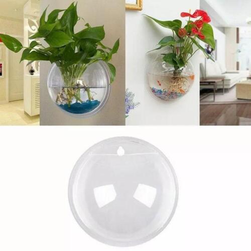 Hanging Wall Mounted Fish Bowl Betta Tank Aquarium Plant Fish Wall Bubble G7Z6