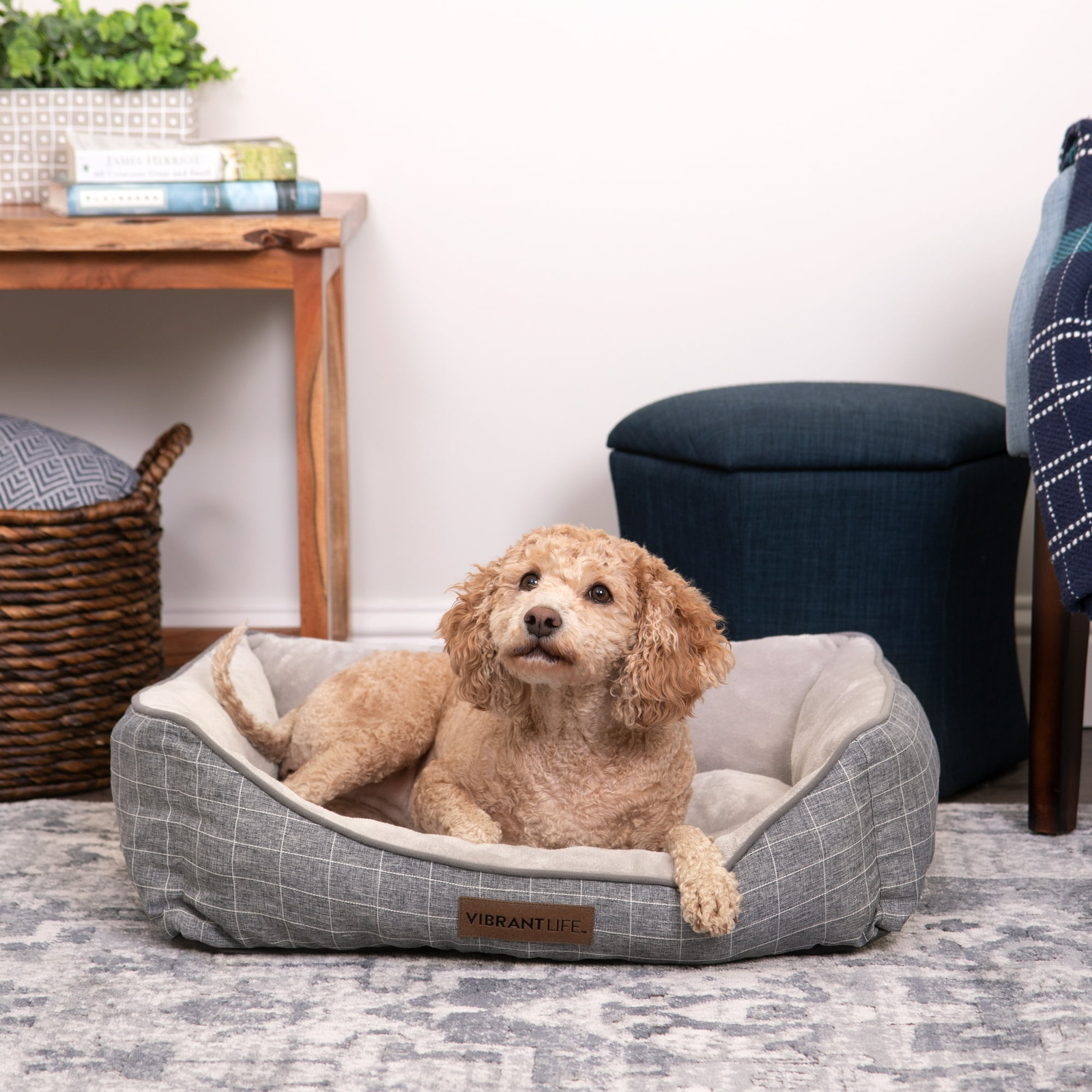Medium Luxe Cuddler Mattress Dog Bed Cat Pet Bed Soft Washable Mat, 27