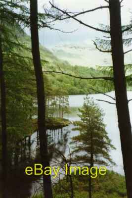 Photo 6x4 South shore of Loch Trool From the route of the Southern Upland c2002