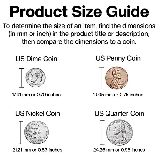 10K Gelbgold poliert & strukturiert Sand Dollar Anhänger - Bild 4 von 4