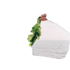 All organic Kelp/ nutrients/amendments Soil builder/ additive/soil booster 1lb