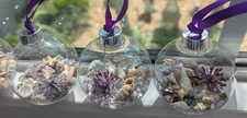 Set Of 3 Hand Filled Coastal Christmas Ornaments With Real Beach Shells More