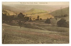 OAKLAND-MD-The-Cove-State-Road-Sheep-Vtg-Hand-Colored