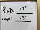 Foto 7 di 8