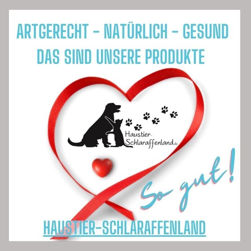 Bild 3 von 16