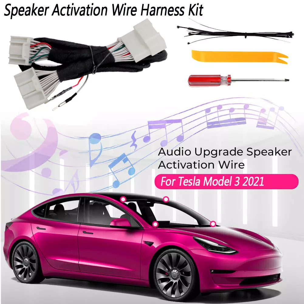 Tesla model 3 standard range plus audio sale upgrade