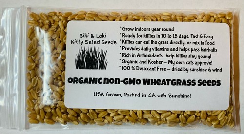 US Seller Cat Dog Grass Seeds - Premium Quality Organic,Non-GMO Wheatgrass Seeds - Picture 8 of 11