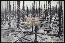 Foto K&ouml;ln 1944-46 Wald abgebrannte  B&auml;ume H&uuml;rtgenwald