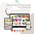Bild 6 von 7