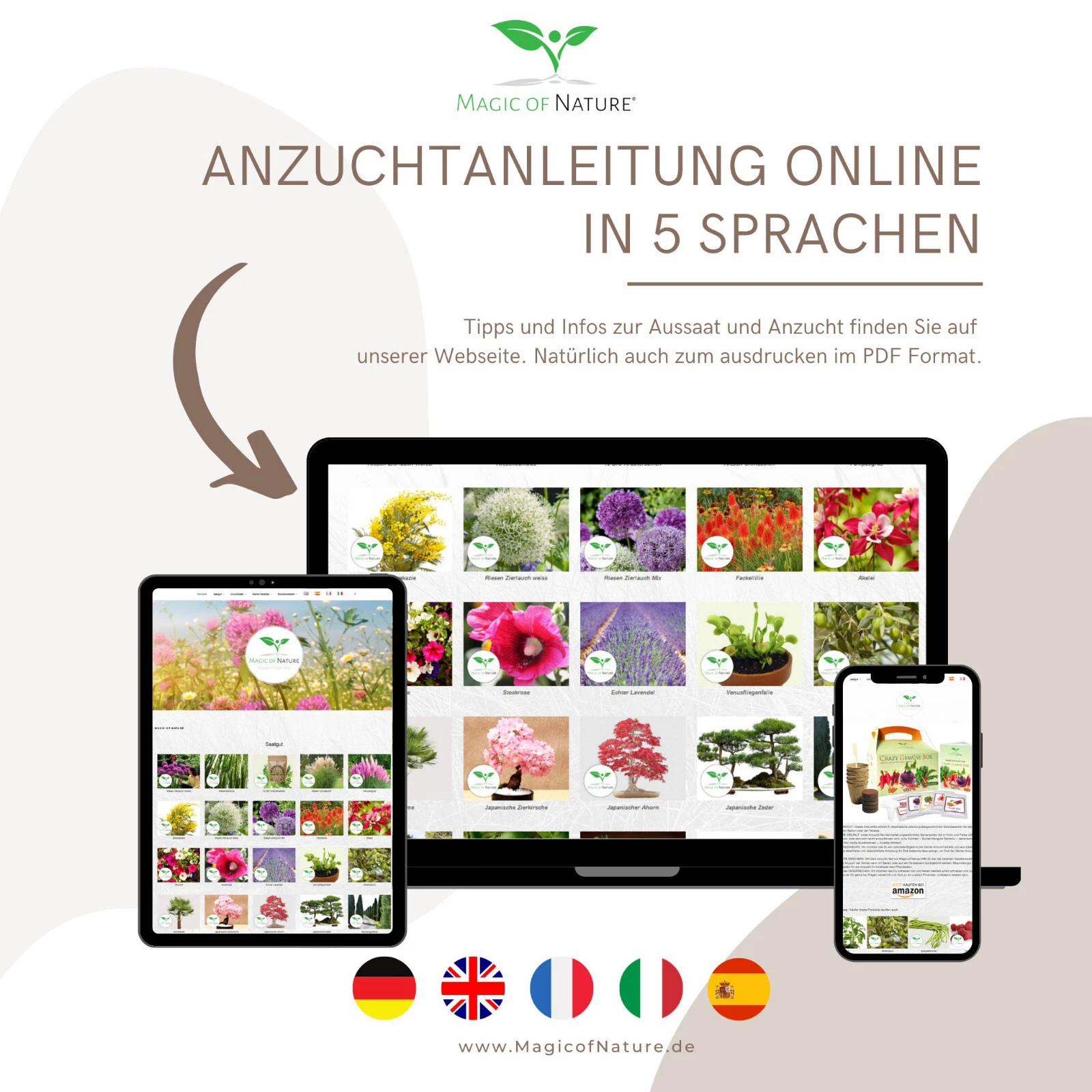Bild 6 von 7