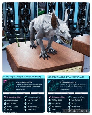 ark survival ascended pve SOLID ID36 RAVENGER BRUTING PAIR CLONES ONLY