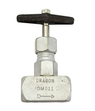 DRAGON 10M-011 1/8" FNPT Globe-style Needle Valve, 6000psi