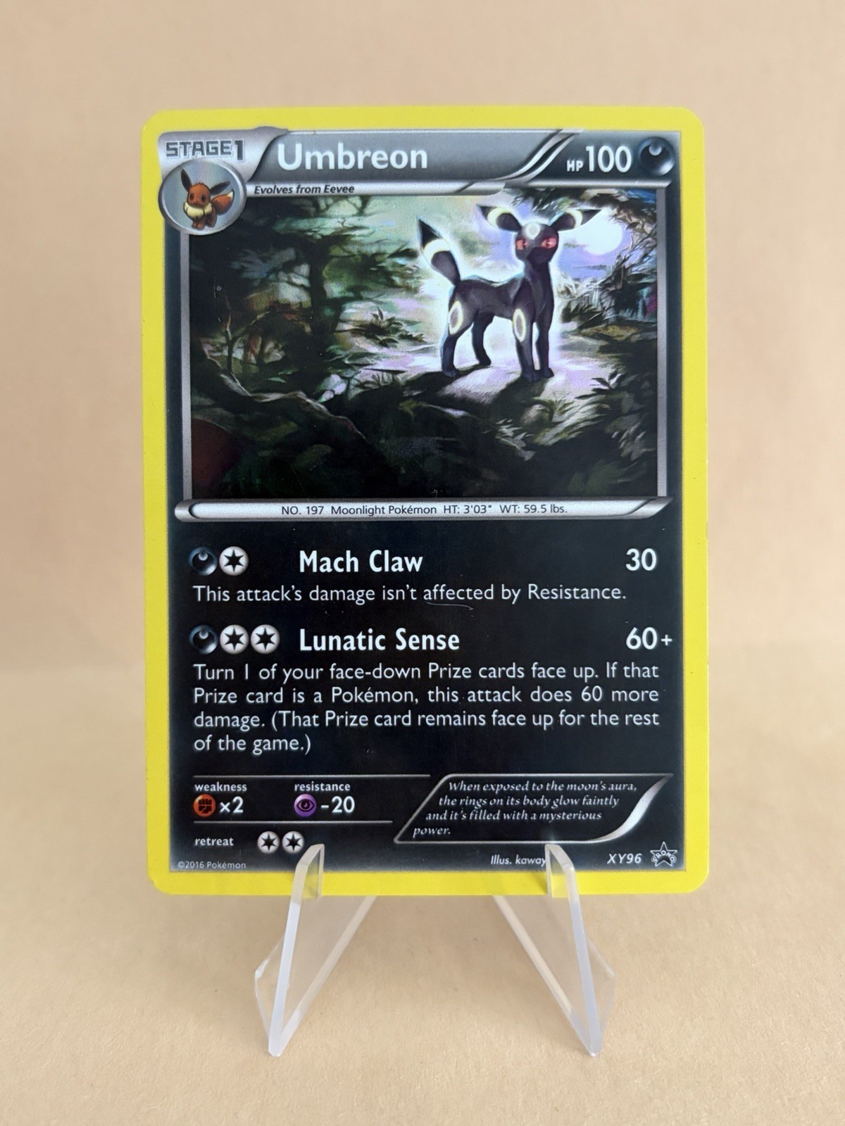 Umbreon XY96 Holo Promo Pokemon Card