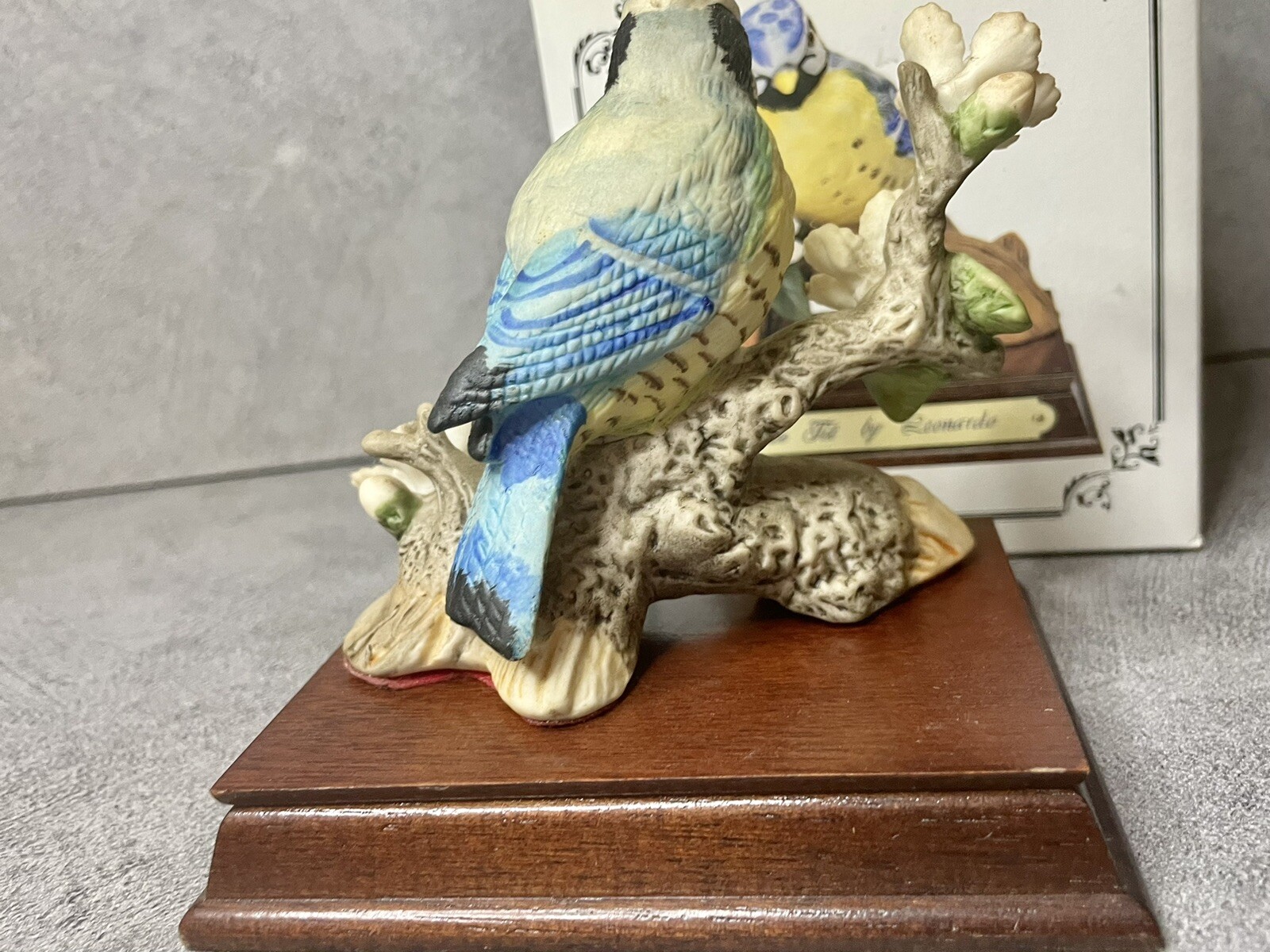 Picture 6 of 15