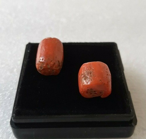 16'Ct Coral Cabochon 100%Natural Italian Sea coral 2'Pieces Loose coral Gemstone - Picture 3 of 6