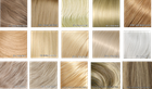 Bild 8 von 10