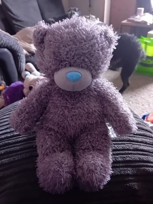 Carte Blanche Me To You Tatty Teddy Plüschtier, 28 cm Stofftier, Blue Nosed Friends
