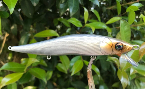 Leurre De Pêche SPEEDBAITS – Glisseur Aérographié Personnalisé 7 Pouces, Multicolore