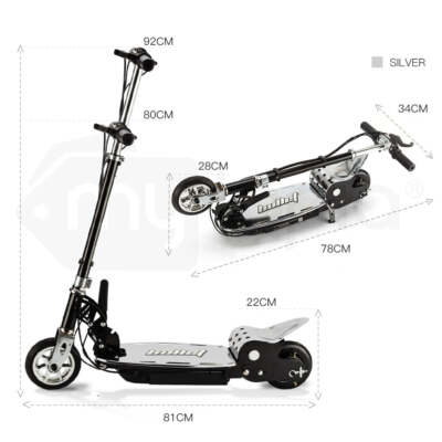 NNEMB TRZ Electric Scooter 140W Adjustable and Foldable for
