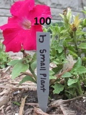 100 Small Plant Labels, garden markers, plant markers, garden labels